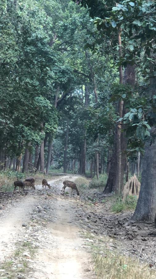 Hotel Happy Land Chitwan Ngoại thất bức ảnh